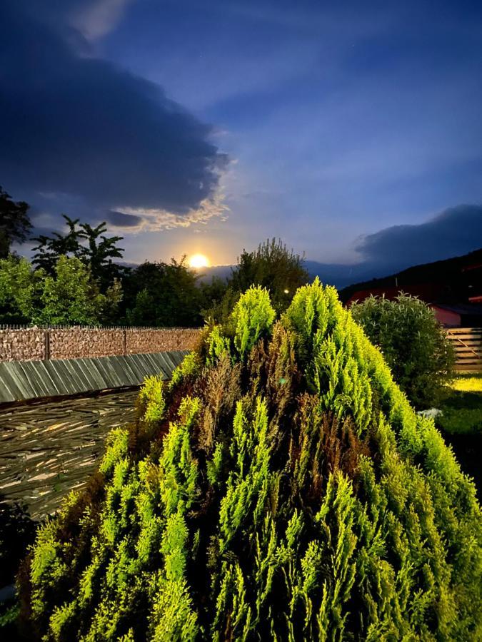 Casa Chira Hotel Viseu de Sus Exterior photo